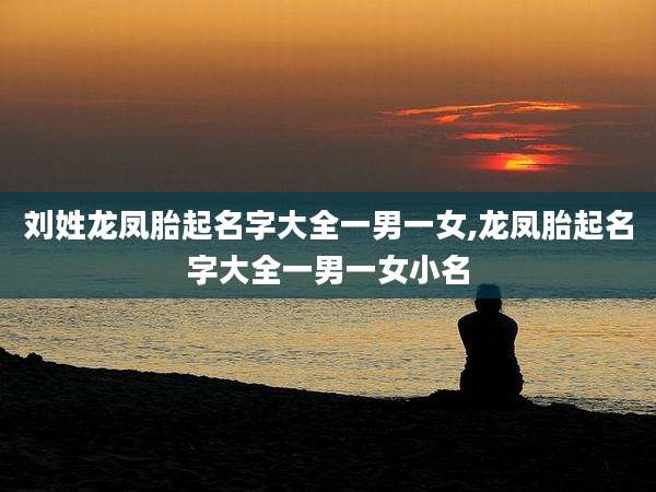 刘姓龙凤胎起名字大全一男一女,龙凤胎起名字大全一男一女小名