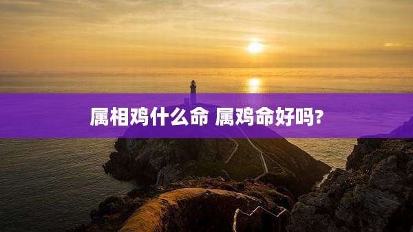 属相鸡什么命 属鸡命好吗?