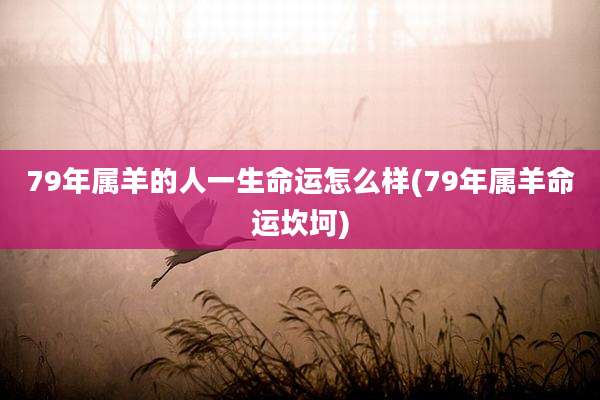 79年属羊的人一生命运怎么样(79年属羊命运坎坷)