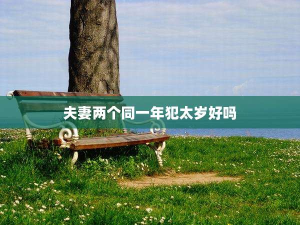 夫妻两个同一年犯太岁好吗