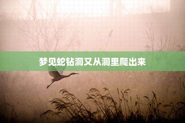 梦见蛇钻洞又从洞里爬出来