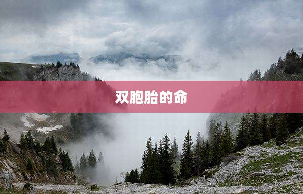 双胞胎的命