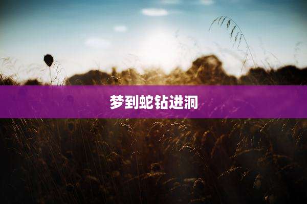 梦到蛇钻进洞