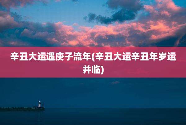 辛丑大运遇庚子流年(辛丑大运辛丑年岁运并临)