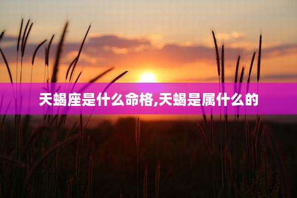 天蝎座是什么命格,天蝎是属什么的