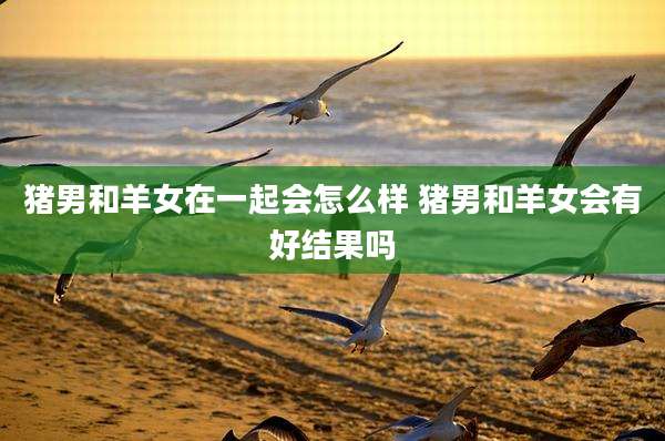 猪男和羊女在一起会怎么样 猪男和羊女会有好结果吗