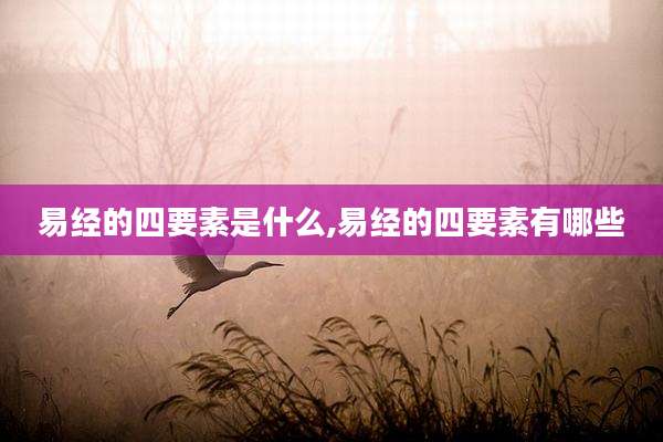 易经的四要素是什么,易经的四要素有哪些