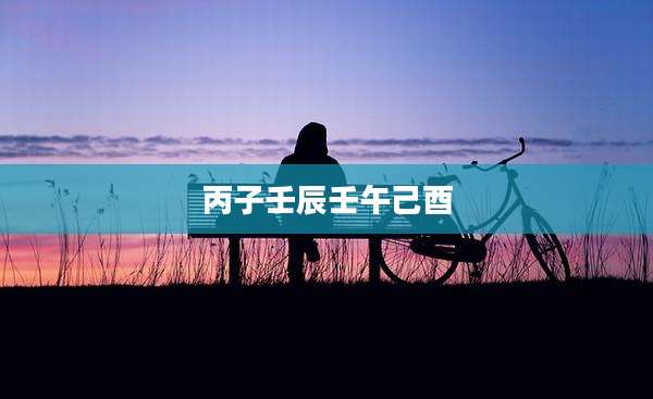 丙子壬辰壬午己酉