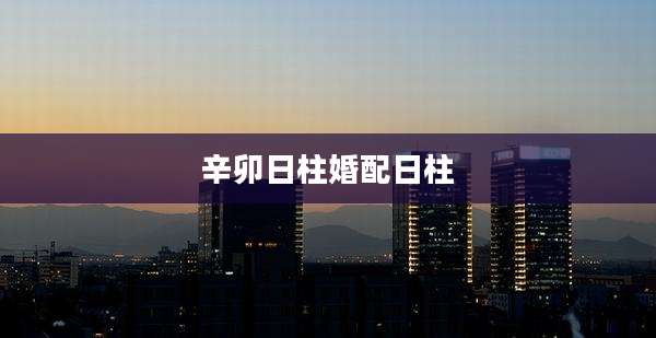 辛卯日柱婚配日柱
