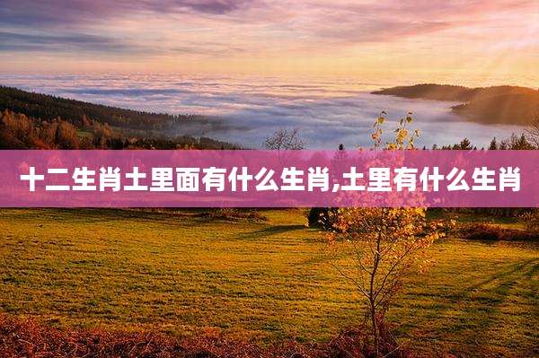 十二生肖土里面有什么生肖,土里有什么生肖