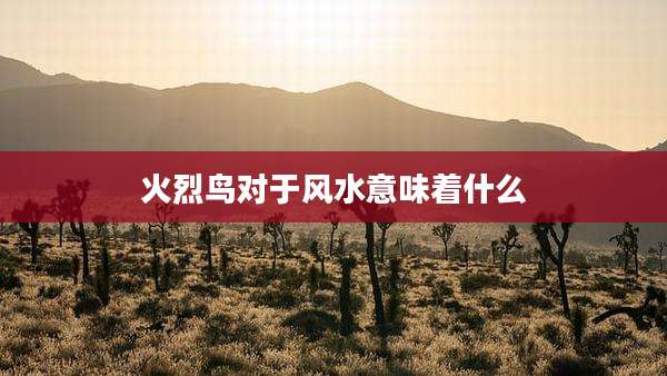 火烈鸟对于风水意味着什么