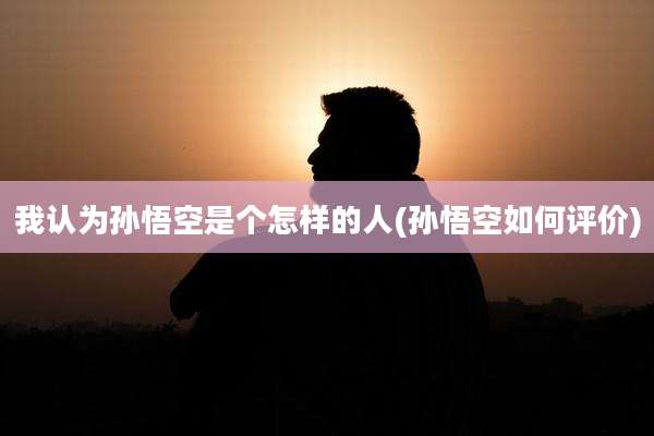 我认为孙悟空是个怎样的人(孙悟空如何评价)