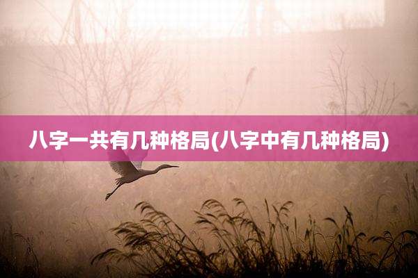 八字一共有几种格局(八字中有几种格局)