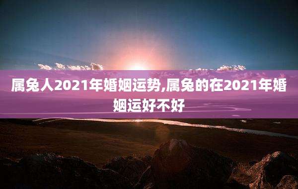 属兔人2021年婚姻运势,属兔的在2021年婚姻运好不好
