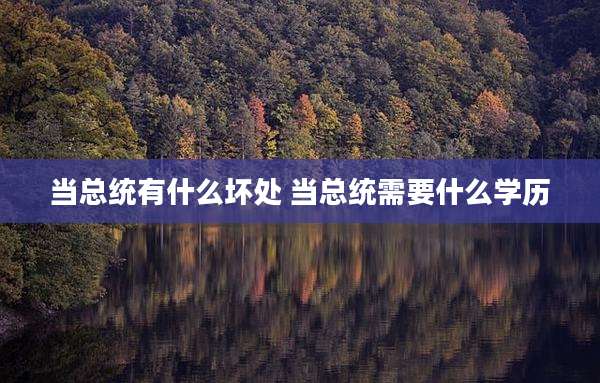 当总统有什么坏处 当总统需要什么学历