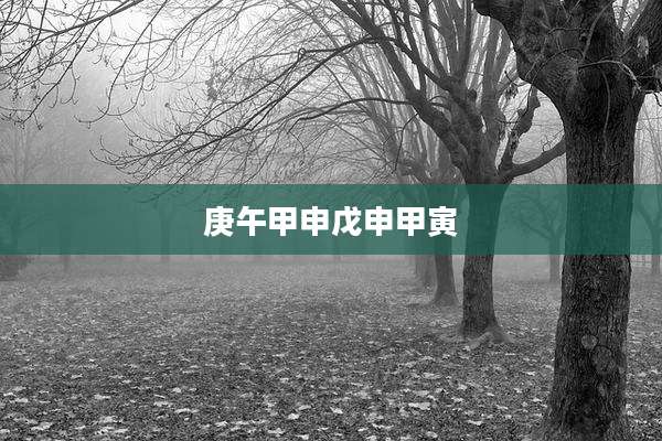 庚午甲申戊申甲寅