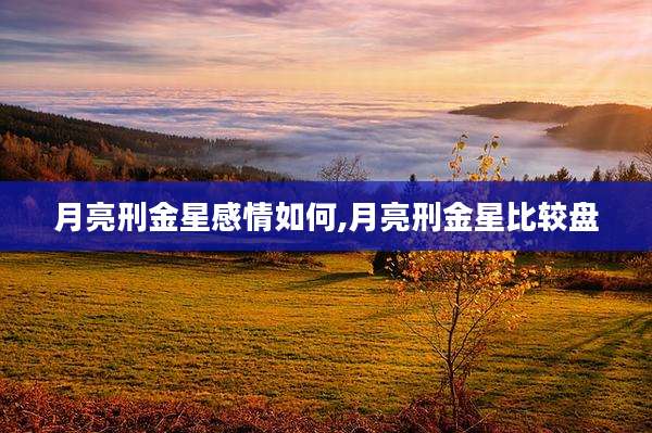 月亮刑金星感情如何,月亮刑金星比较盘