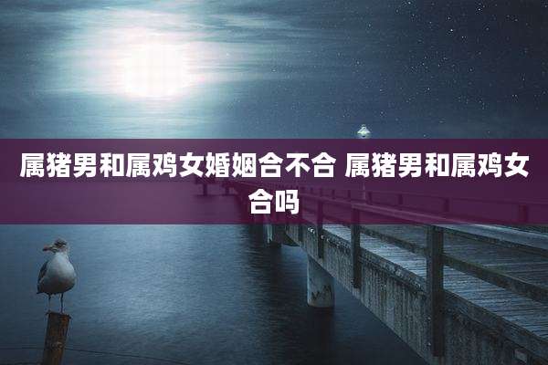 属猪男和属鸡女婚姻合不合 属猪男和属鸡女合吗
