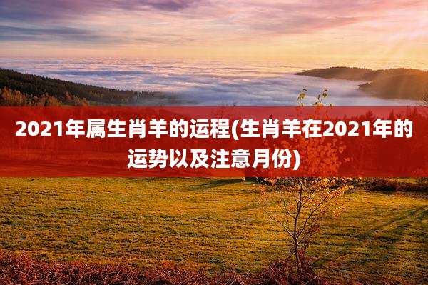 2021年属生肖羊的运程(生肖羊在2021年的运势以及注意月份)