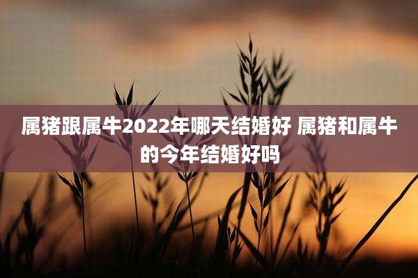 属猪跟属牛2022年哪天结婚好 属猪和属牛的今年结婚好吗
