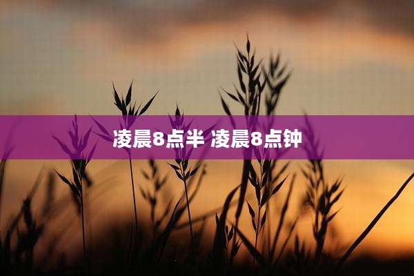 凌晨8点半 凌晨8点钟