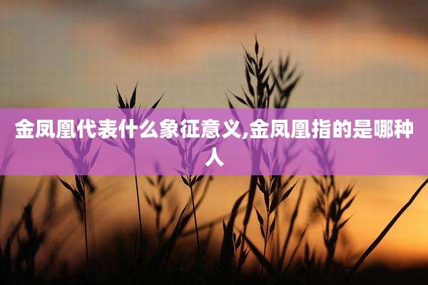 金凤凰代表什么象征意义,金凤凰指的是哪种人