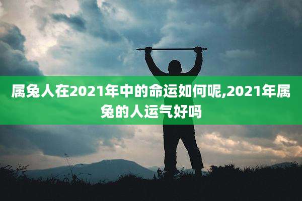 属兔人在2021年中的命运如何呢,2021年属兔的人运气好吗