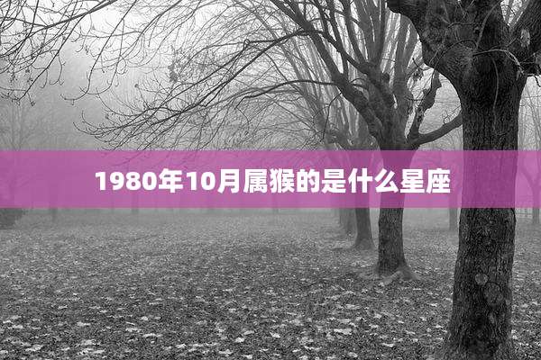 1980年10月属猴的是什么星座