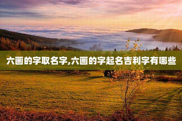 六画的字取名字,六画的字起名吉利字有哪些