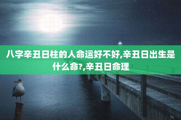 八字辛丑日柱的人命运好不好,辛丑日出生是什么命?,辛丑日命理