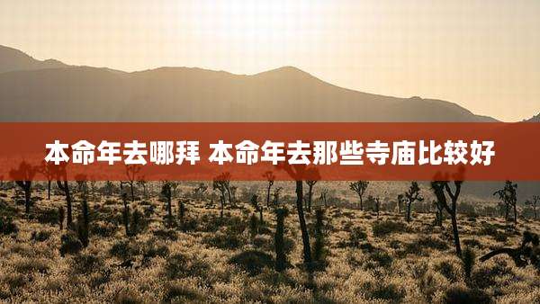 本命年去哪拜 本命年去那些寺庙比较好