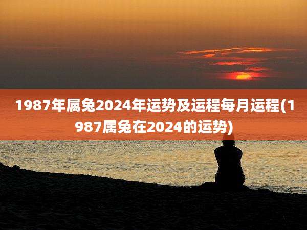 1987年属兔2024年运势及运程每月运程(1987属兔在2024的运势)