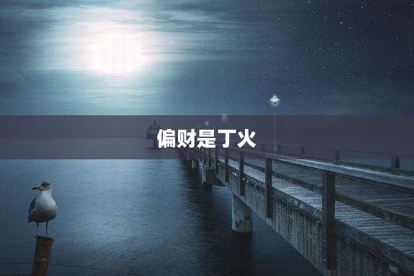 偏财是丁火
