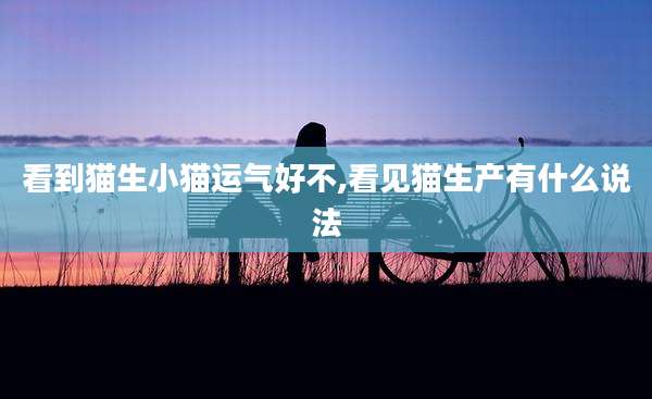 看到猫生小猫运气好不,看见猫生产有什么说法