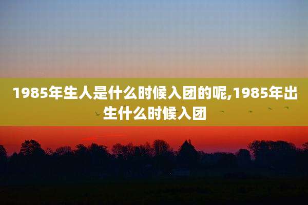 1985年生人是什么时候入团的呢,1985年出生什么时候入团