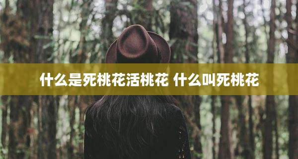 什么是死桃花活桃花 什么叫死桃花