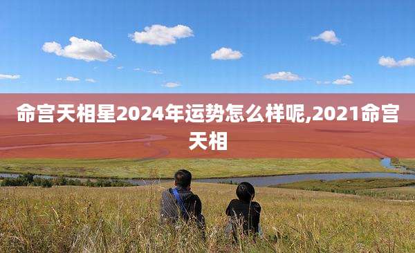 命宫天相星2024年运势怎么样呢,2021命宫天相
