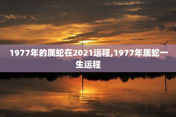 1977年的属蛇在2021运程,1977年属蛇一生运程