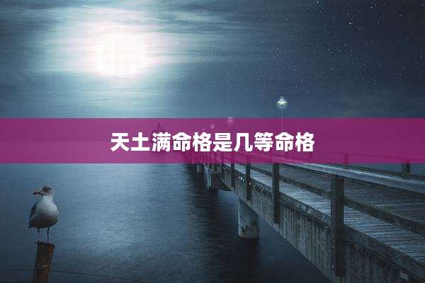 天土满命格是几等命格