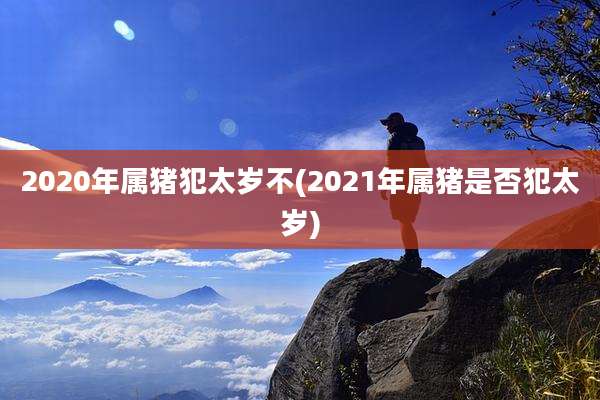 2020年属猪犯太岁不(2021年属猪是否犯太岁)