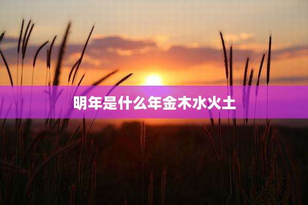 明年是什么年金木水火土