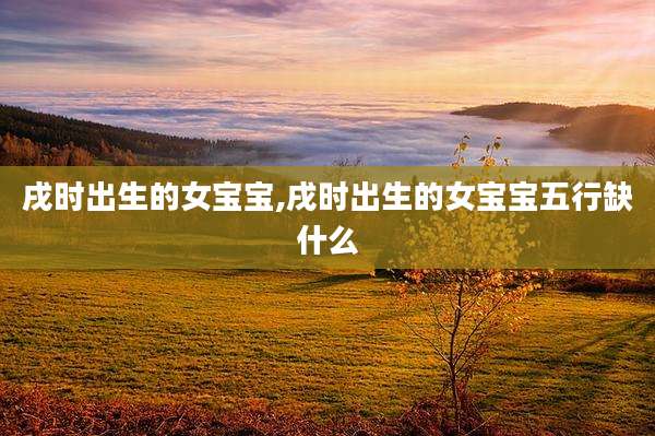 戌时出生的女宝宝,戌时出生的女宝宝五行缺什么