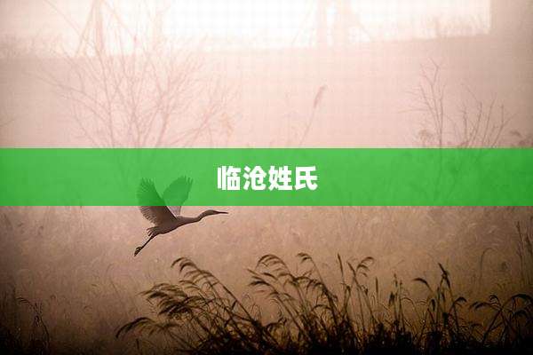 临沧姓氏