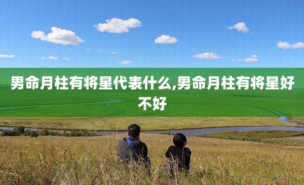 男命月柱有将星代表什么,男命月柱有将星好不好