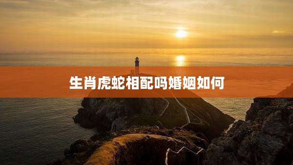 生肖虎蛇相配吗婚姻如何