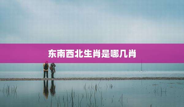 东南西北生肖是哪几肖