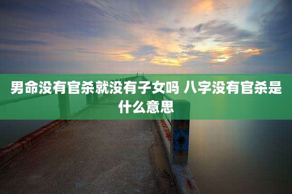 男命没有官杀就没有子女吗 八字没有官杀是什么意思