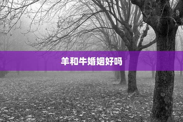 羊和牛婚姻好吗