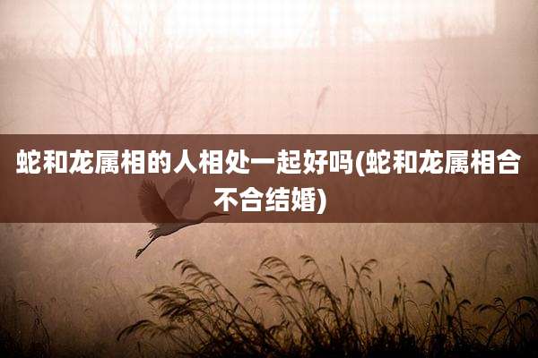 蛇和龙属相的人相处一起好吗(蛇和龙属相合不合结婚)