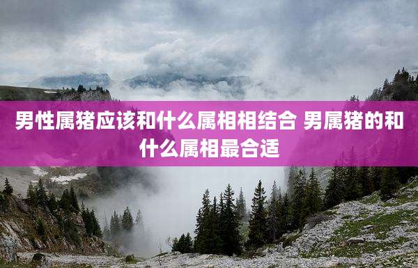 男性属猪应该和什么属相相结合 男属猪的和什么属相最合适
